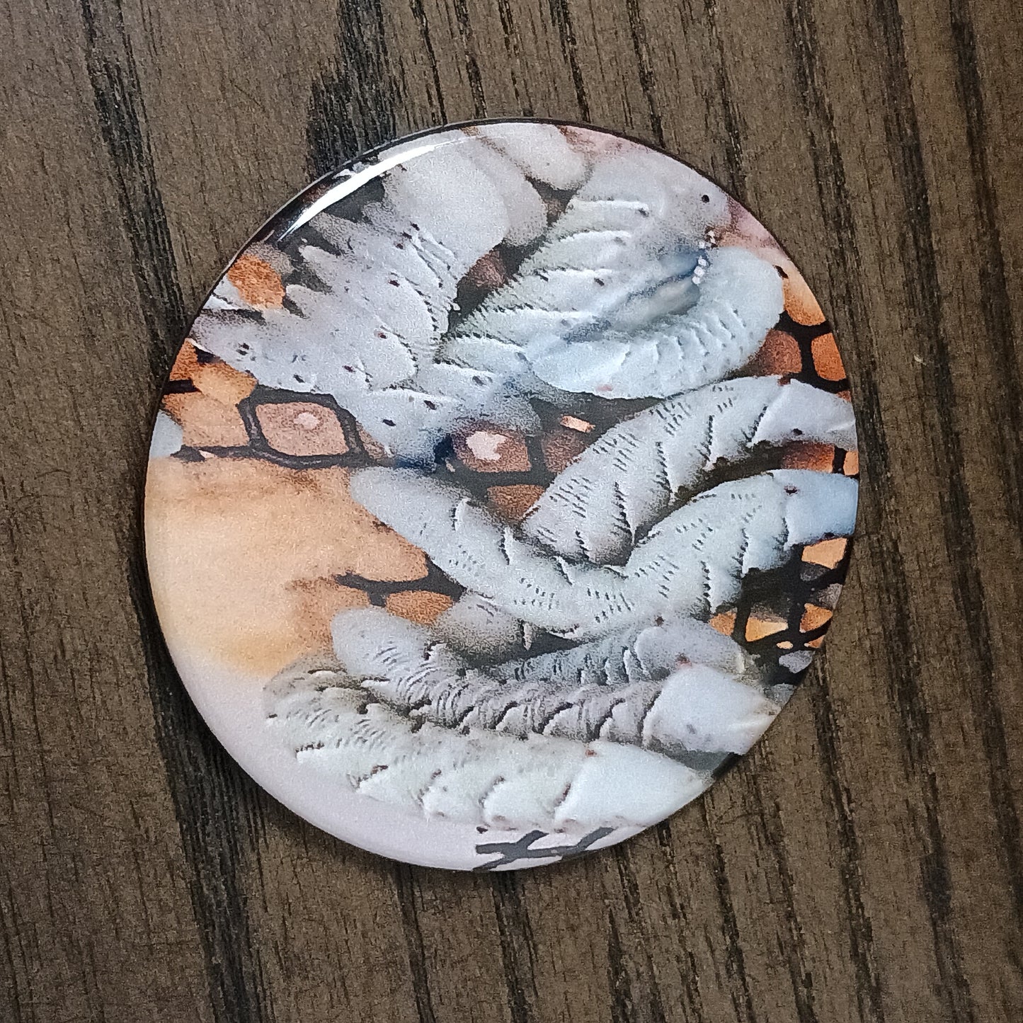 Mystery 5 pack 2.25 in round reptile button magnets