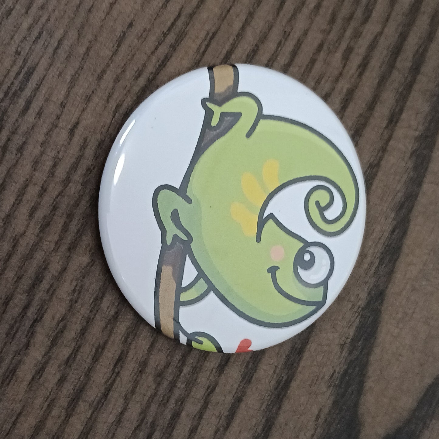 Mystery 5 pack 2.25 in round reptile button magnets