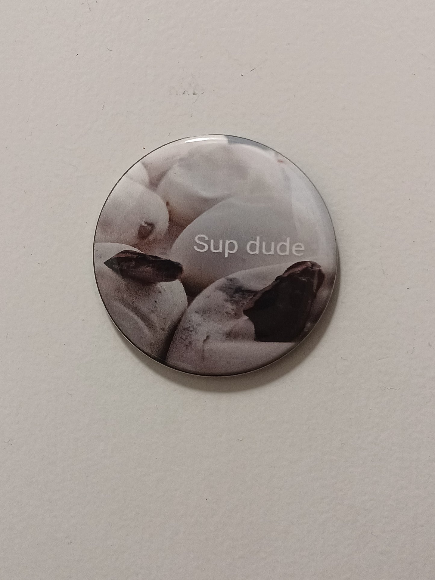 Mystery 5 pack 2.25 in round reptile button magnets